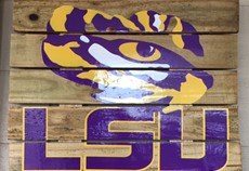 lsu